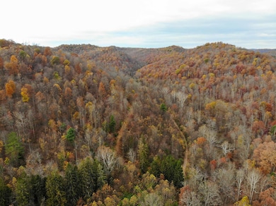 TBD Pyles Ave, Mannington, WV 26582 - photo 7