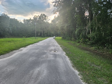 0 NW 86th St, Chiefland, FL 32626 - photo 6