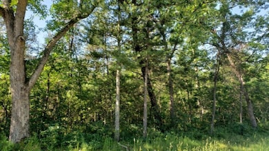 20190629_100051