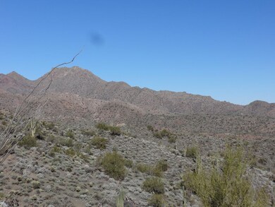 McDowell Preserve