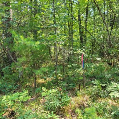 0 York Ln unit 25 4873957, Freedom, NH 03836 - photo 3