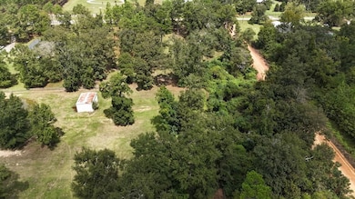 0 Ed Tolar Rd, Pansey, AL 36370 - photo 6