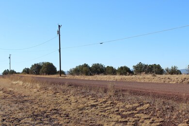 636 W Edgewood Rd, Ash Fork, AZ 86320 - photo 4