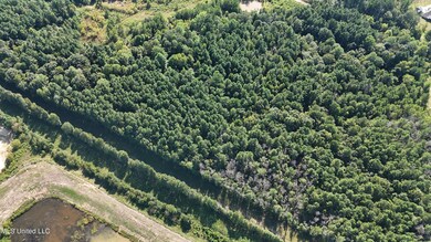 0 Mount Helm Rd unit 4124967, Brandon, MS 39047 - photo 4