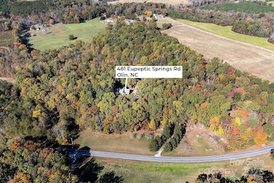 481 Eupeptic Springs Rd, Olin, NC 28660 - photo 4