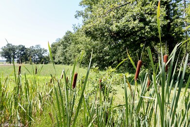 5189 Us Highway 12, Three Oaks, MI 49128 - photo 6