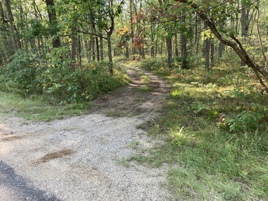 PAR 2 Cleveland Dr W, Lilley Township, MI 49309 - photo 4