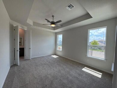 Spare room featuring a raised ceiling, carpet flo
