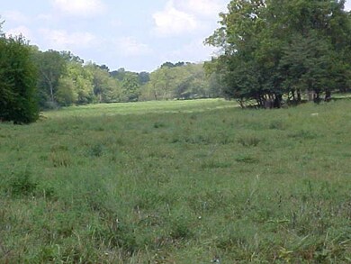 botton land 2
