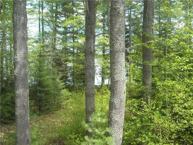 Land. walkway to the lake..