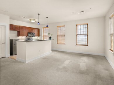 60 Winooski Falls Way unit 1101, Winooski, VT 05404 - photo 5