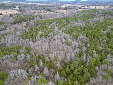 000 S Shelton Rd, Bee Branch, AR 72013 - photo 4