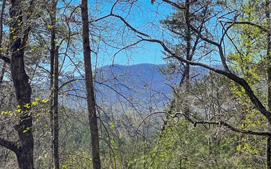 Additional View