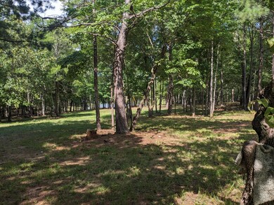 000 Water View Dr, Lincolnton, GA 30817 - photo 3