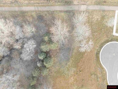 0 Butler Falls Rd, Mankato, MN 56001 - photo 2