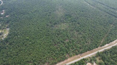 0 Old Louisville Rd, Grovetown, GA 30813 - photo 3