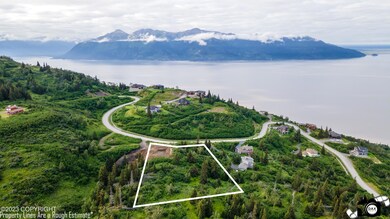 DJI_0850