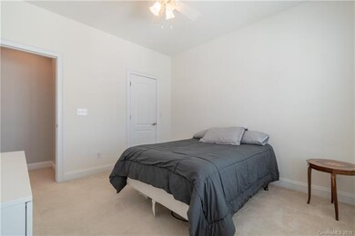 1022 South St, Cornelius, NC 28031 - photo 4