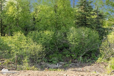 L4 Snow Flake Cir, Anchorage, AK 99516 - photo 3