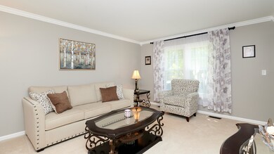 546 Arbor Ln, Oswego, IL 60543 - photo 2