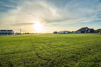View of yard at dusk