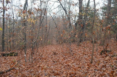 000 Logan Ridge Rd, Ozark, MO 65721 - photo 6