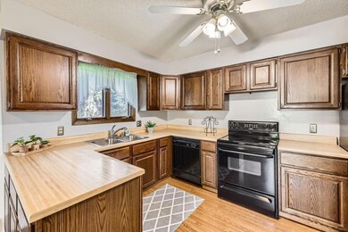 5931 Henry St, Maple Plain, MN 55359 - photo 6
