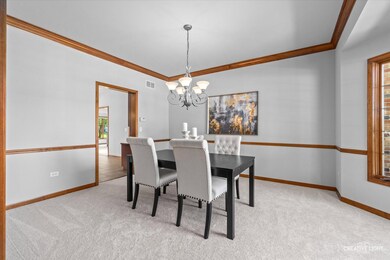 2548 Bangert Ln, Naperville, IL 60564 - photo 4