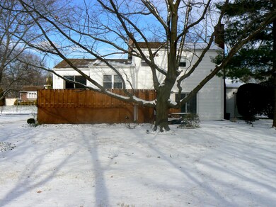 Backyard4