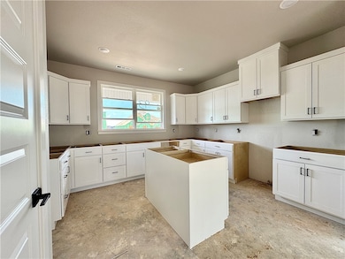 The quartz countertops, walk-in pantry, and stainl