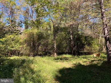 0 Twymans Mill Rd unit VAMA2001908, Madison, VA 22719 - photo 5