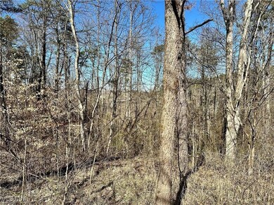 0 Fisher Ridge Rd Tract 2, Fleming, OH 45729 - photo 4