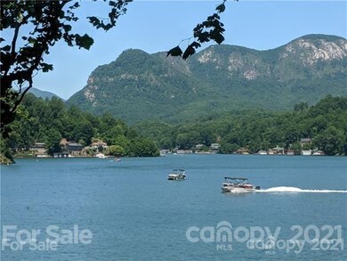 0 Whitney Blvd unit 8 3735030, Lake Lure, NC 28746 - photo 4