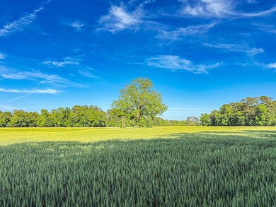 Tbd Hwy 19 unit LotWP001, Nichols, SC 29581 - photo 5