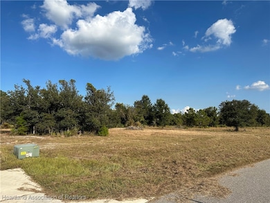 Lot 13 Rodeo Dr, Sebring, FL 33875 - photo 3