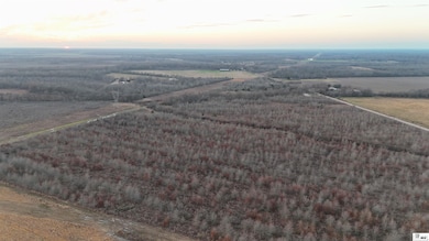 000 Futch Rd, Rayville, LA 71269 - photo 2