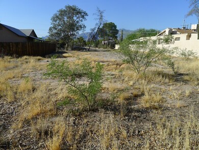 Large Lot