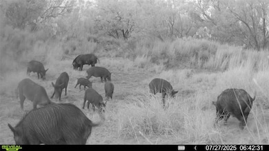 0 Cameron Ln, Fowlerton, TX 78021 - photo 6