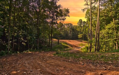 857 Mount Zion Rd, Ellijay, GA 30536 - photo 2