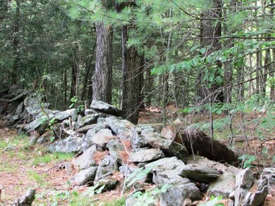 97 Wildes Rd, Bowdoinham, ME 04008 - photo 2