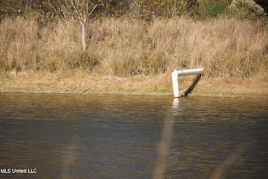 0 County Road 115, Carrollton, MS 38917 - photo 2