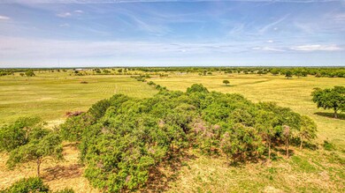 Lot 20 Cottonwood Trail, Poolville, TX 76487 - photo 3