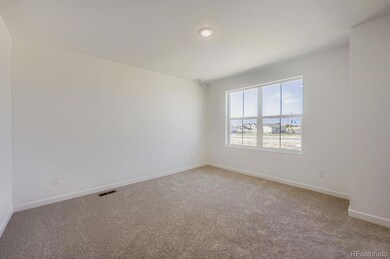 7831 Long Chute Trail, Colorado Springs, CO 80908 - photo 6