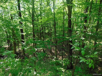 TBD 1 Alston Rd, Laird Township, MI 49958 - photo 5