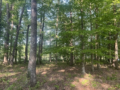 0 Excalibur Trail unit RTC3050266, Cedar Grove, TN 38321 - photo 3