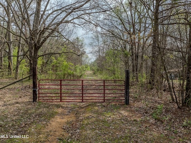 560 N Malone, Hernando, MS 38632 - photo 2