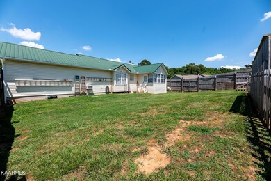 Back yard
