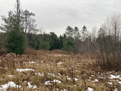 0 Rt 8 unit 11608225, Ohio, NY 13324 - photo 3