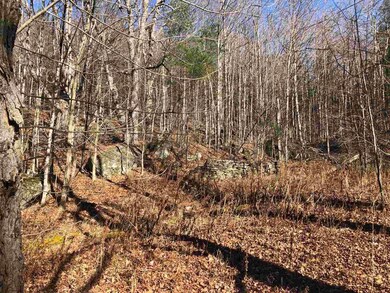 25 Phelps Ln unit Tax map – map 9 parc, Readsboro, VT 05350 - photo 2