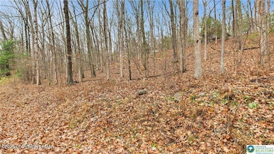 221 Brookdale Dr 221 Dr, Bartonsville, PA 18321 - photo 6